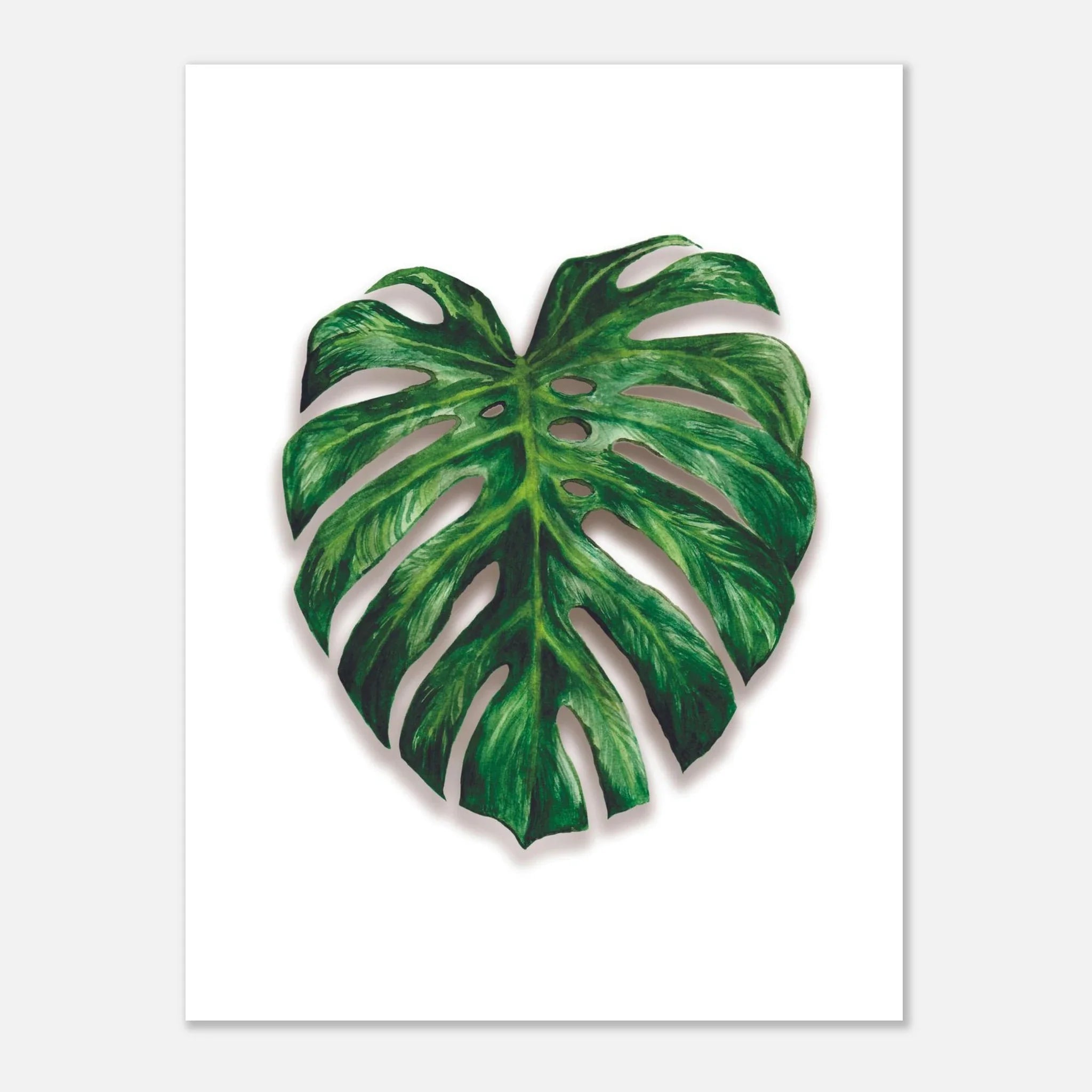 Limited Edition Prints